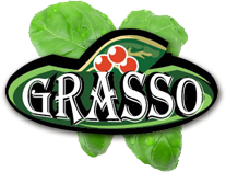 Logo Grasso 2